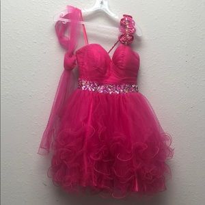 Party Dress/Quinceanera Dress